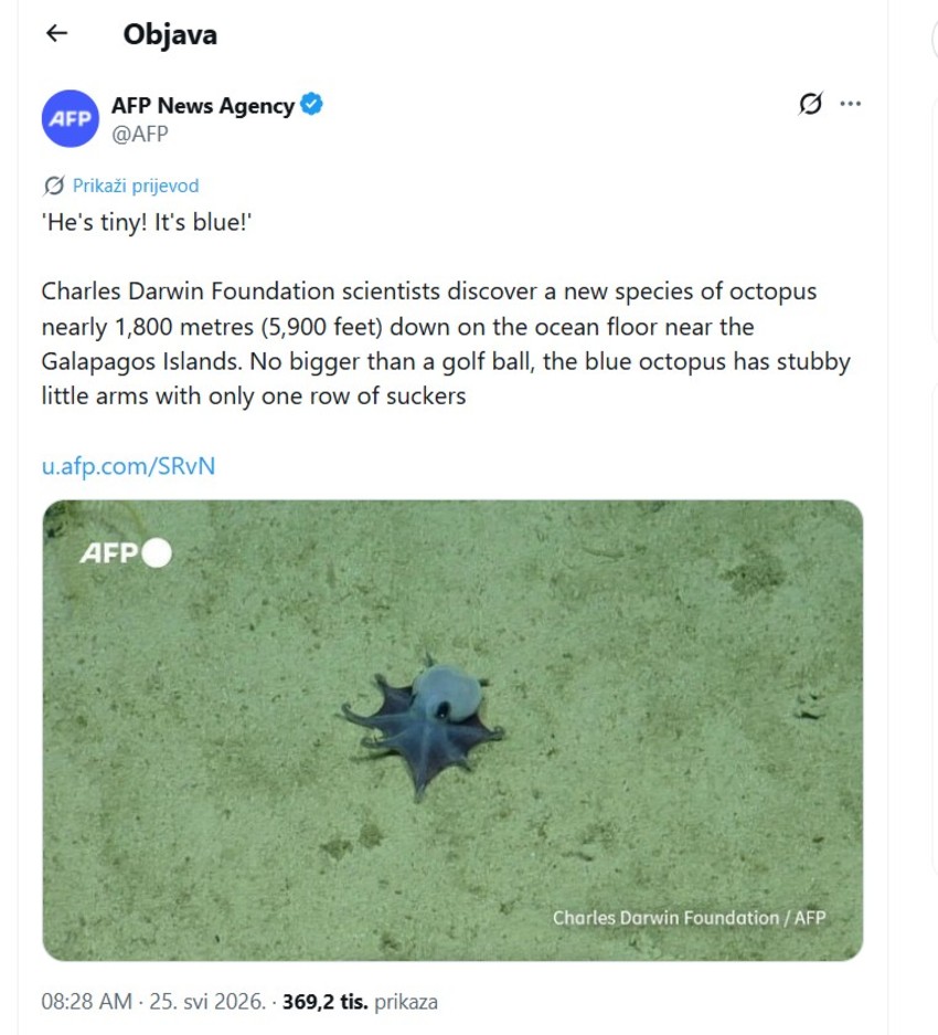 AFP  X.jpg