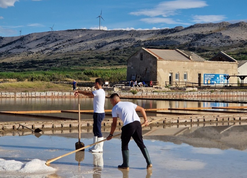 Gradnja suhozida1.jpg