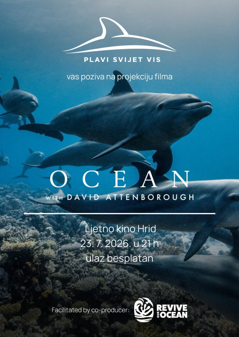 Ocean.jpg