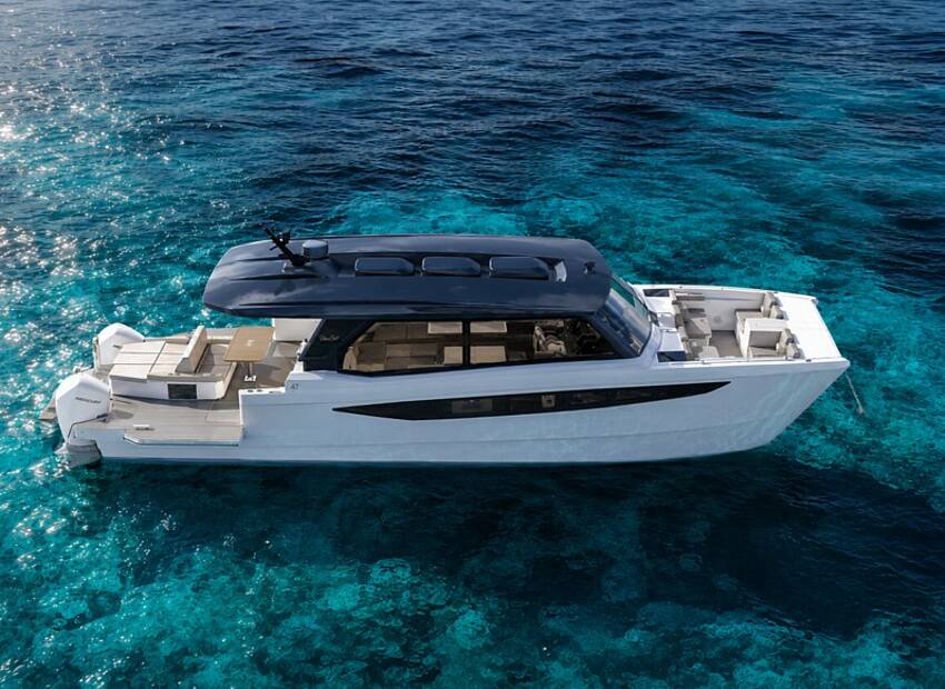 SilverCat 47