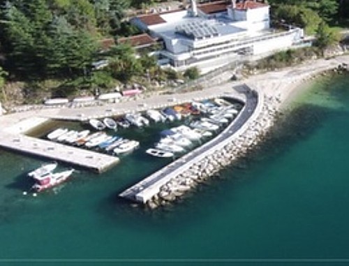 Aktivne mjere