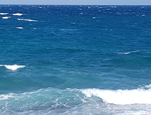 Svjetski dan oceana