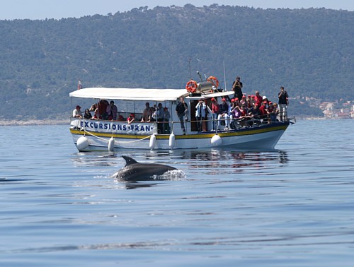 Počelo promatranje dupina