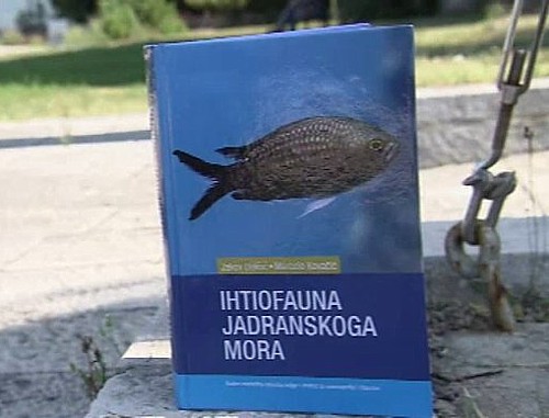 Sve ribe Jadrana