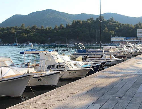 Pločani prosvjeduju