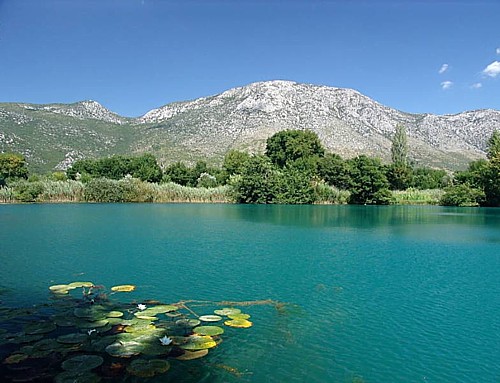 Novi ornitološki rezervati