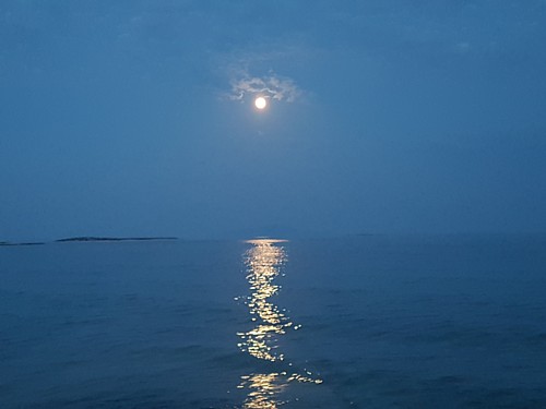Istraživanje ekosustava