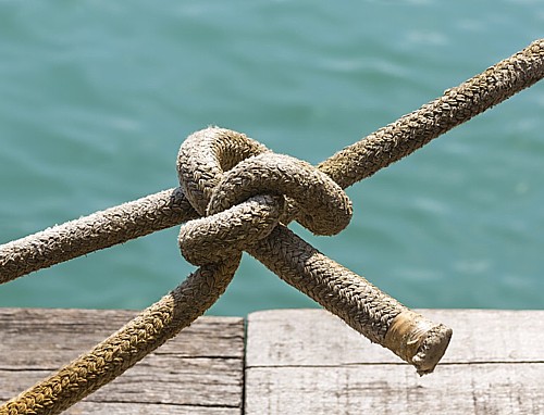 Čvor bez kojeg ne možete