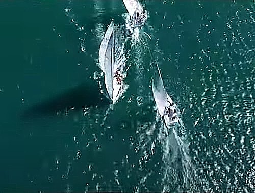 57. Pulska regata 2021