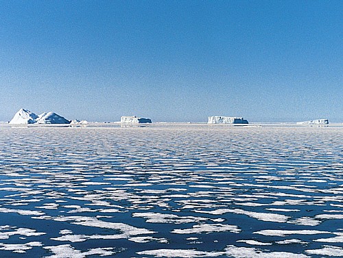 Arktik - sjeverni morski put