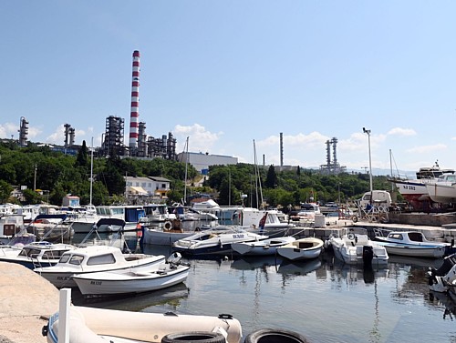Užasnuti vlasnici