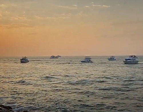 Siguran privez na bovu