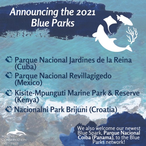 Najnoviji Blue Park 