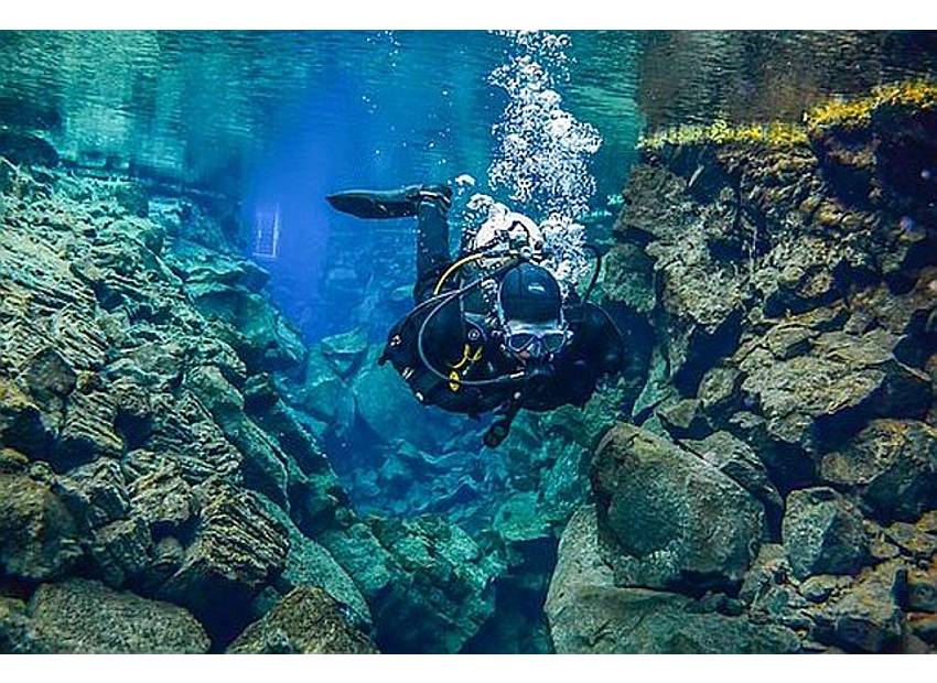 Veselica uz plivanje i ronjenje u Vinišću