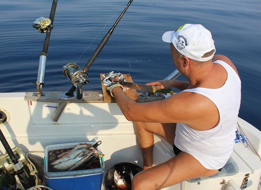 Kako loviti lukave i podozrive ribe?