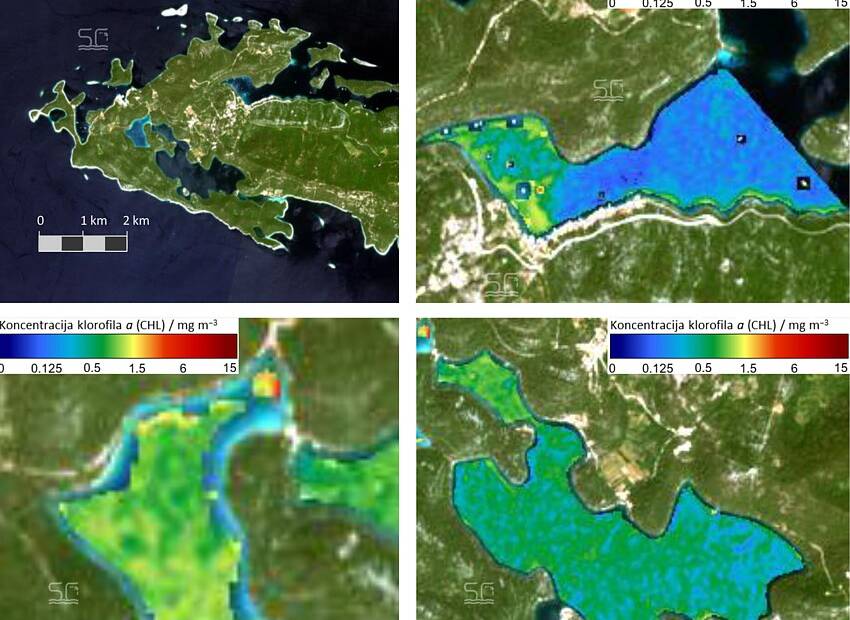 Eutrofikacija Mljeta