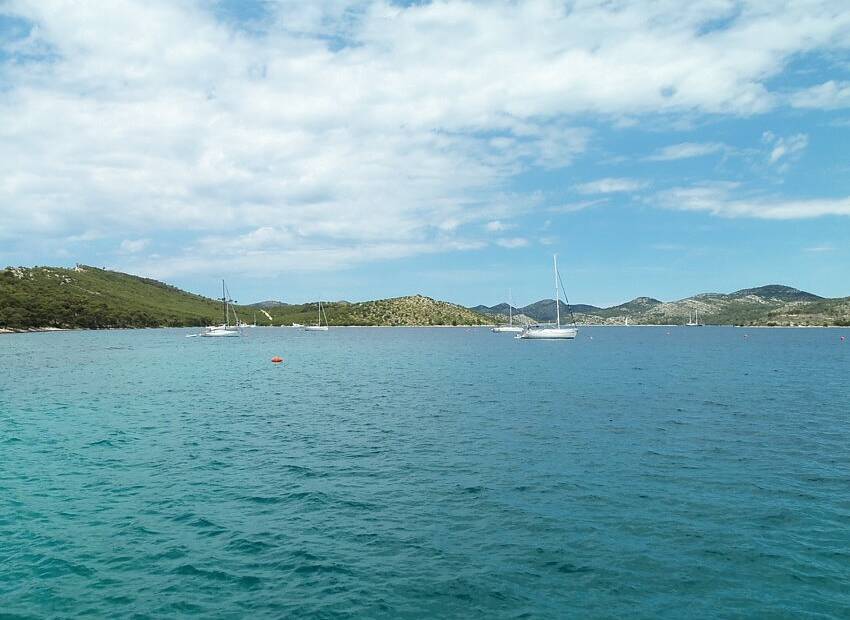 Uklanjanje pajasena u Telašćici