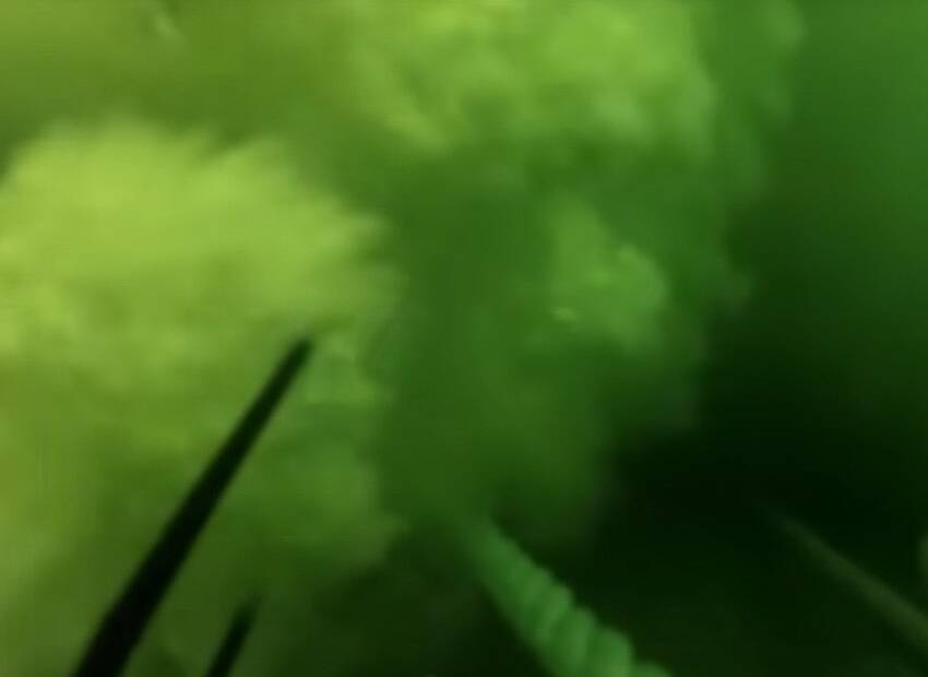 Sigurnost na brodu započinje ovdje