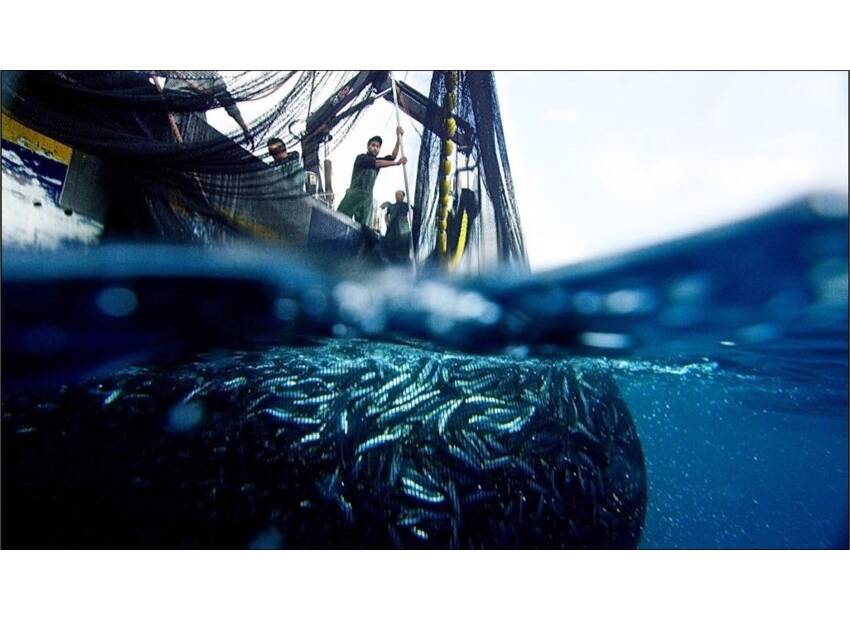 Nagrada MedFish4Ever Hrvatskoj