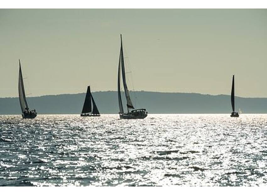 Startup Europe Regatta