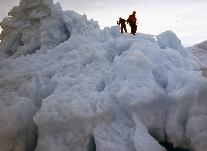 Ledenjaci desetkovani klimatskim promjenama