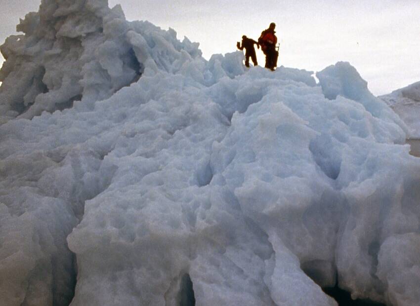 Ledenjaci desetkovani klimatskim promjenama