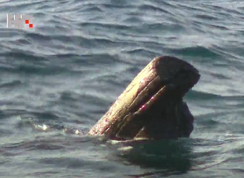 Morem plutaju balvani!