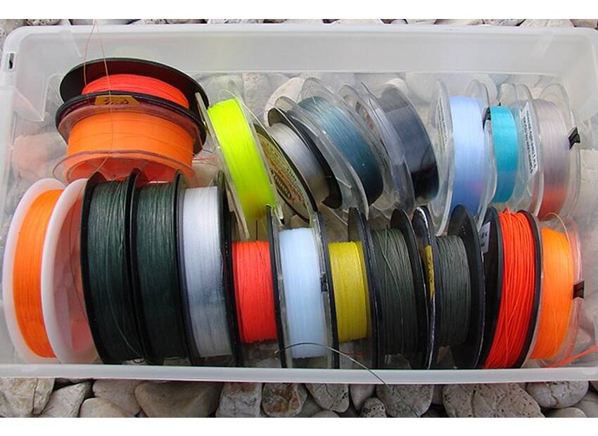 Prava boja strune često znači i ribu više