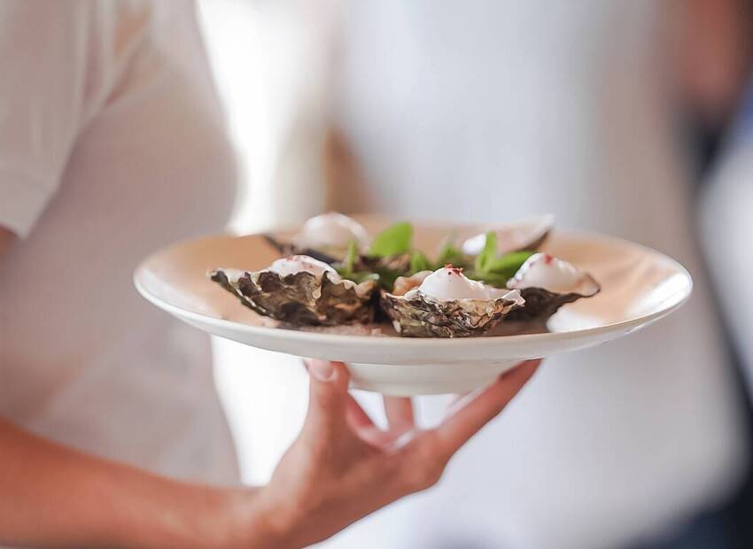 Suradnja Valamara i WWF Adrije