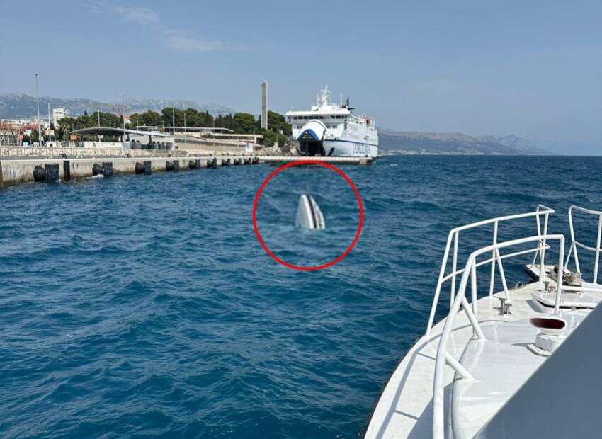 Uklanjanje potopljene brodice ispred splitske gradske luke