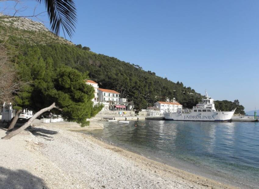 Milina u srcu Jadrana