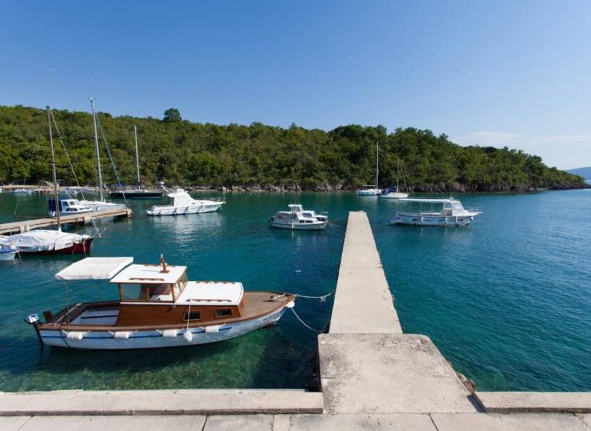 Novosti iz krčkih luka