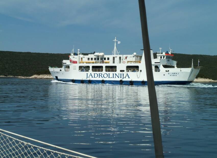 Dan mrtvih na trajektnim linijama