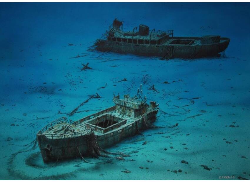 Svečana promocija kalendara s morskim olupinama 2026.