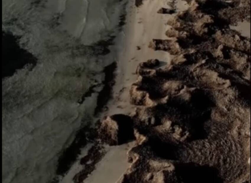 Smeđe hrpe na plaži? To je Posidonija!