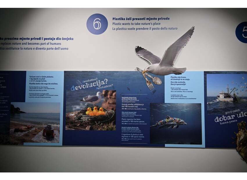 Kada more kaže hvala