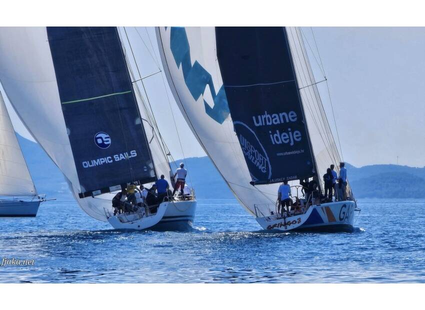 Zadarska regata
