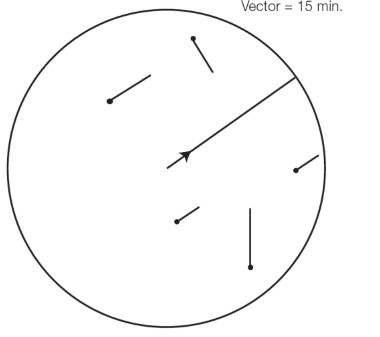 true+radar.jpg